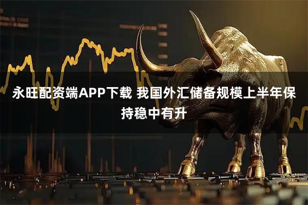 永旺配资端APP下载 我国外汇储备规模上半年保持稳中有升