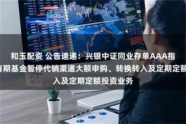 和玉配资 公告速递：兴银中证同业存单AAA指数7天持有期基金暂停代销渠道大额申购、转换转入及定期定额投资业务