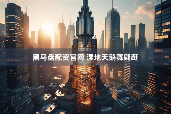 黑马盘配资官网 湿地天鹅舞翩跹