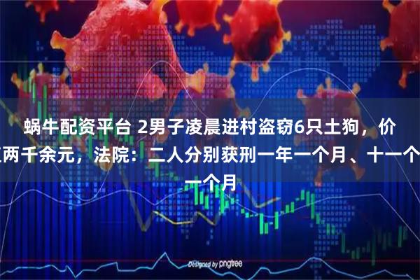 蜗牛配资平台 2男子凌晨进村盗窃6只土狗，价值两千余元，法院：二人分别获刑一年一个月、十一个月